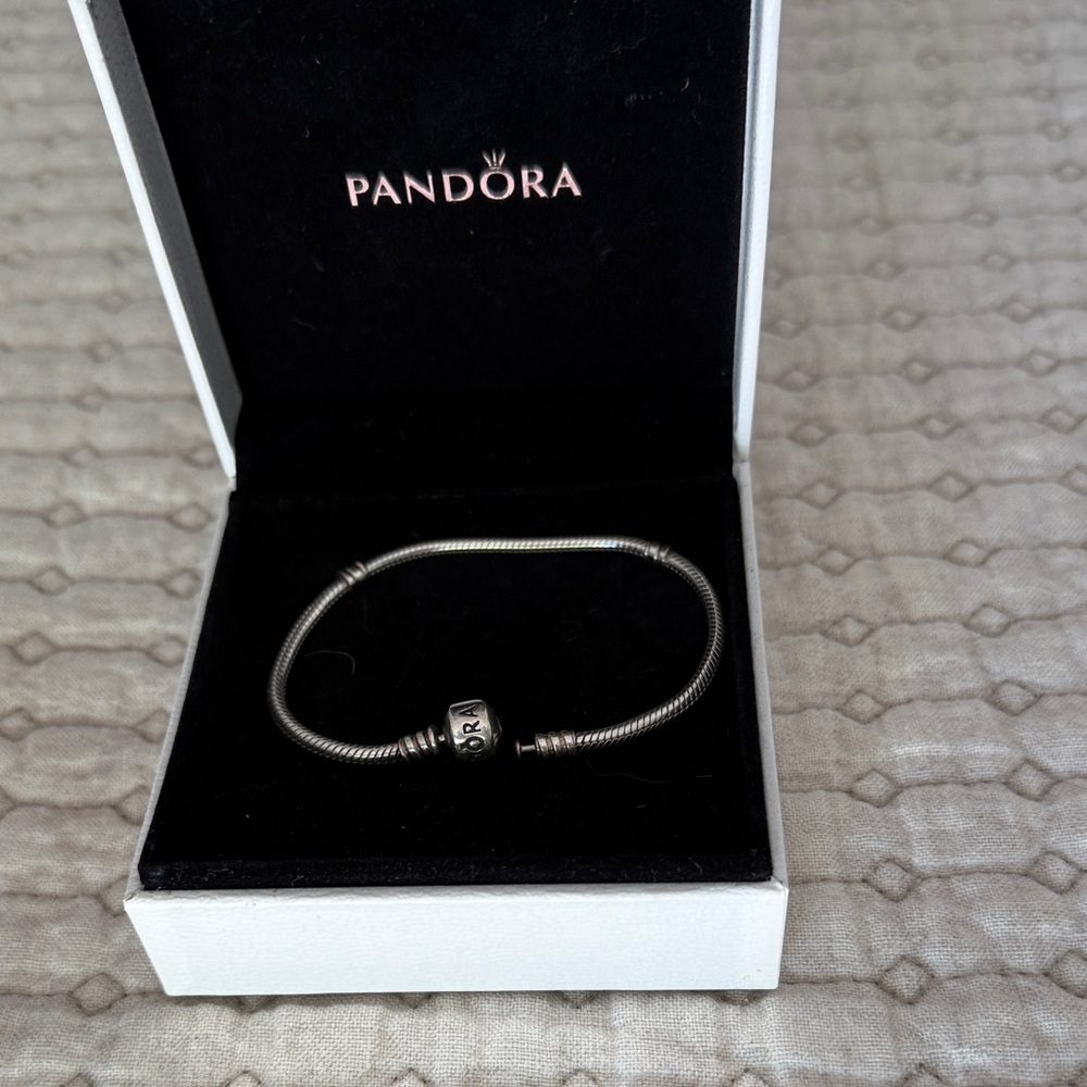 Pandora Silver and Gold-Tone Bracelet